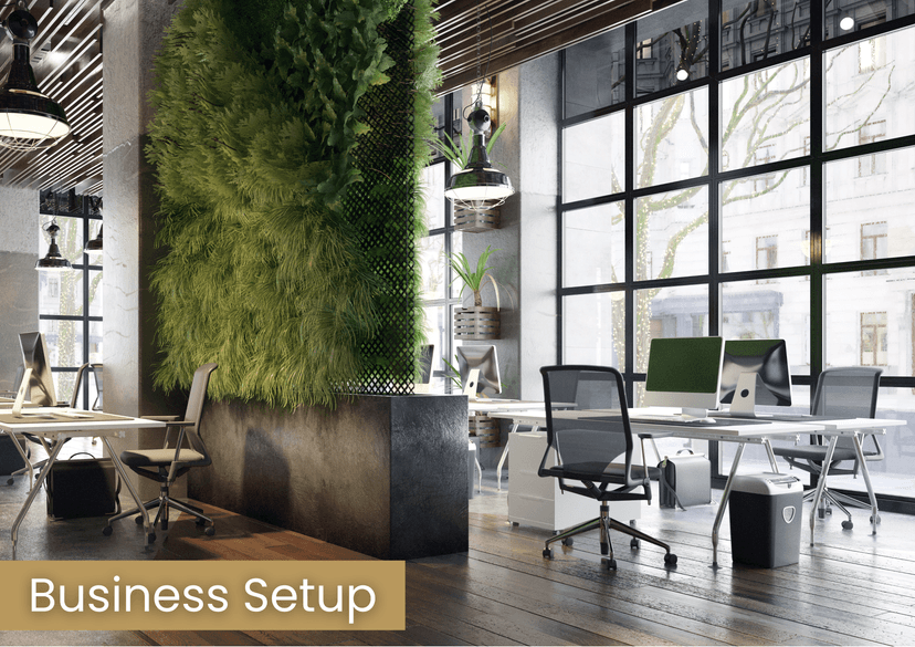 Business Setup